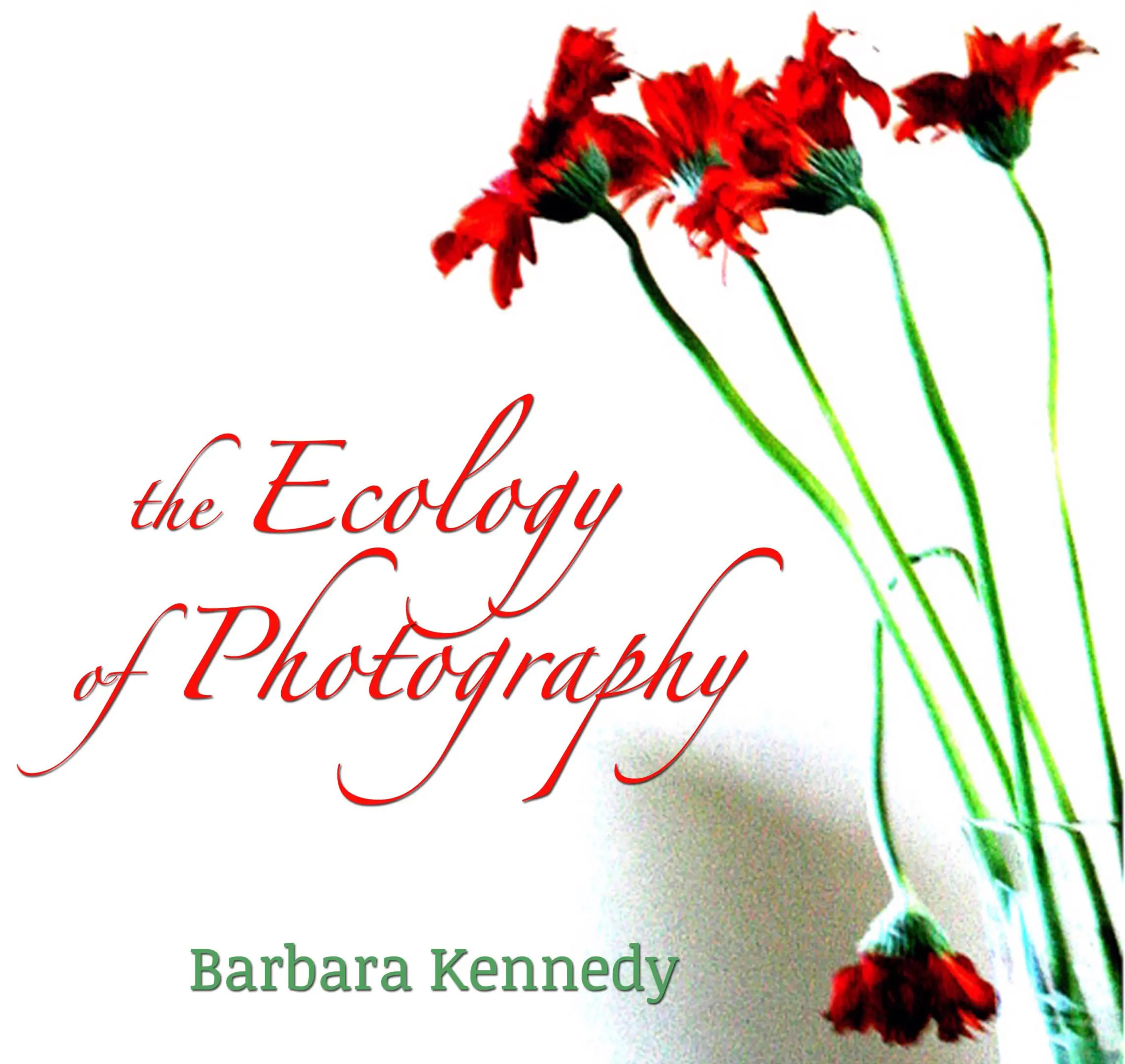 image0 (817b24cc-5c83-4fa4-a534-9b8c12990c34)