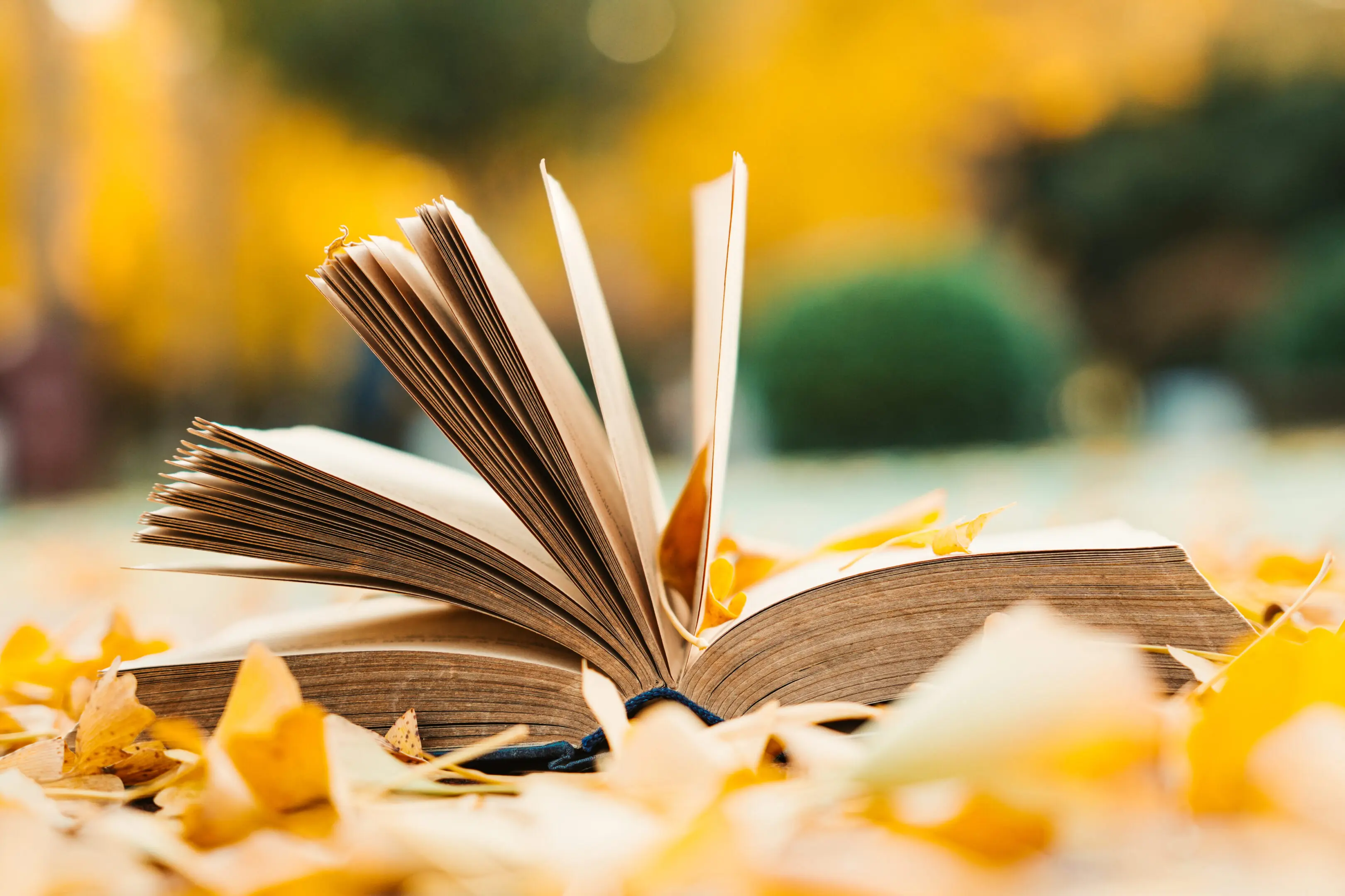 Opened book and autumn leaves